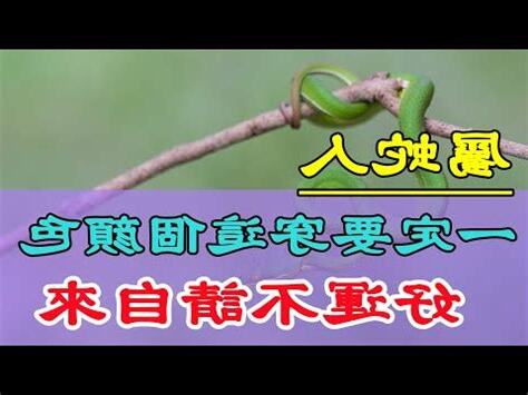 屬蛇 門牌號碼